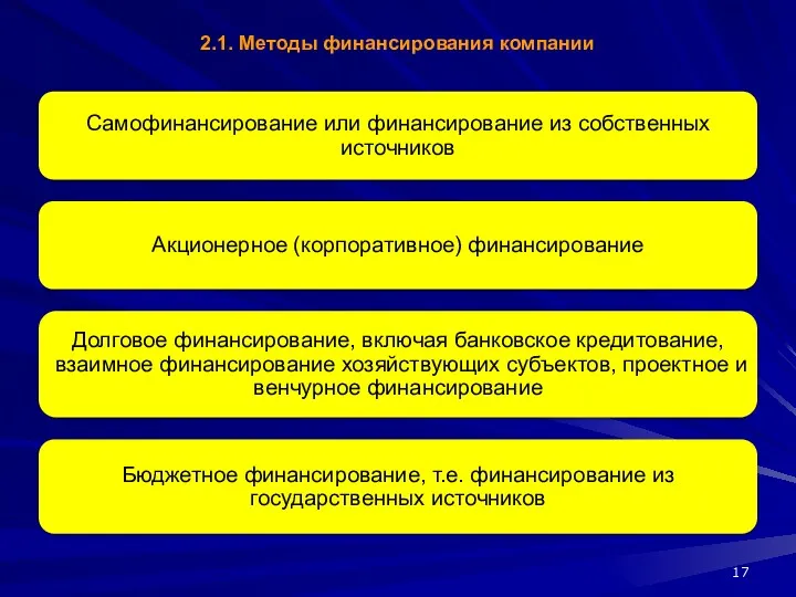 2.1. Методы финансирования компании