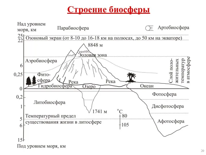 Строение биосферы