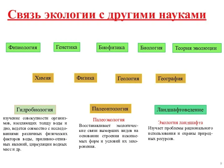 Связь экологии с другими науками Физиология Генетика Биофизика Биология Теория