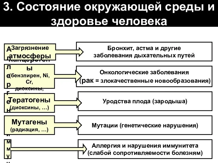 Бронхит, астма и другие заболевания дыхательных путей Онкологические заболевания (рак = злокачественные новообразования)