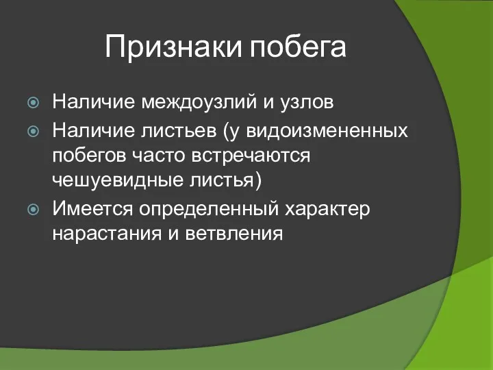 Признаки побега Наличие междоузлий и узлов Наличие листьев (у видоизмененных