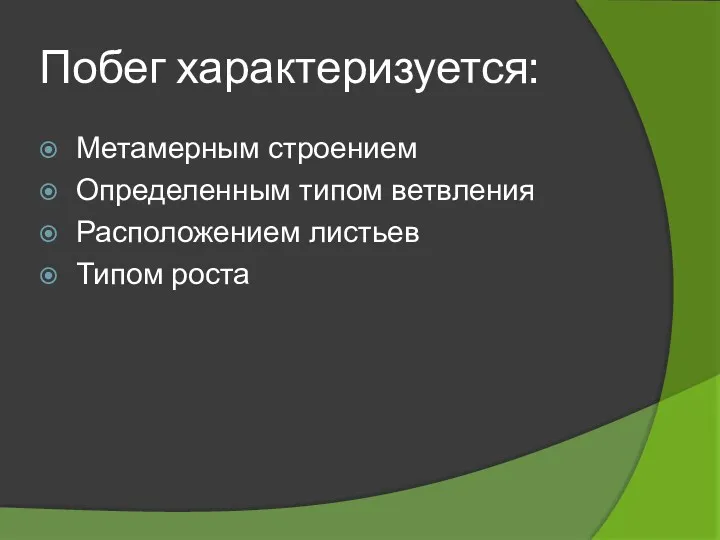 Побег характеризуется: Метамерным строением Определенным типом ветвления Расположением листьев Типом роста