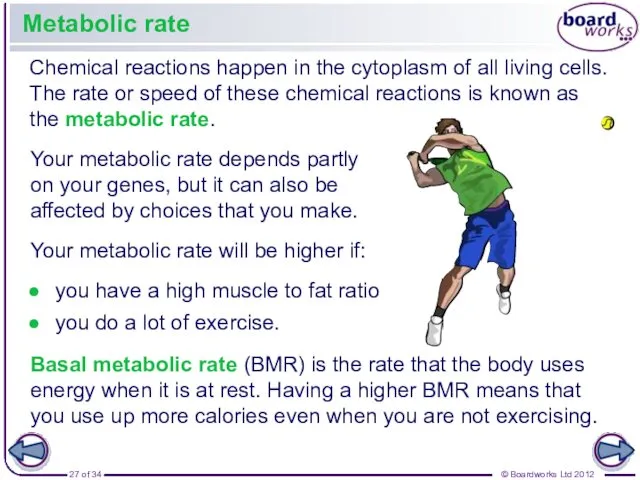 Metabolic rate Chemical reactions happen in the cytoplasm of all