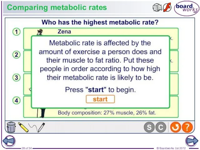 Comparing metabolic rates