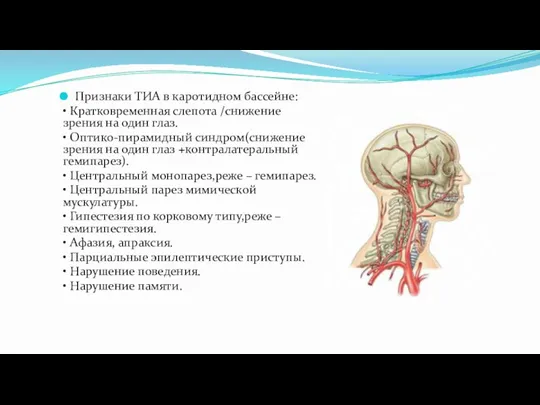 Признаки ТИА в каротидном бассейне: • Кратковременная слепота /снижение зрения