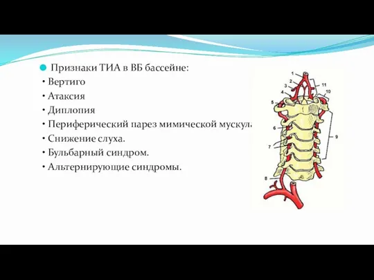 Признаки ТИА в ВБ бассейне: • Вертиго • Атаксия •