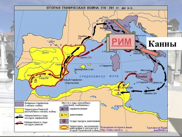 Канны РИМ