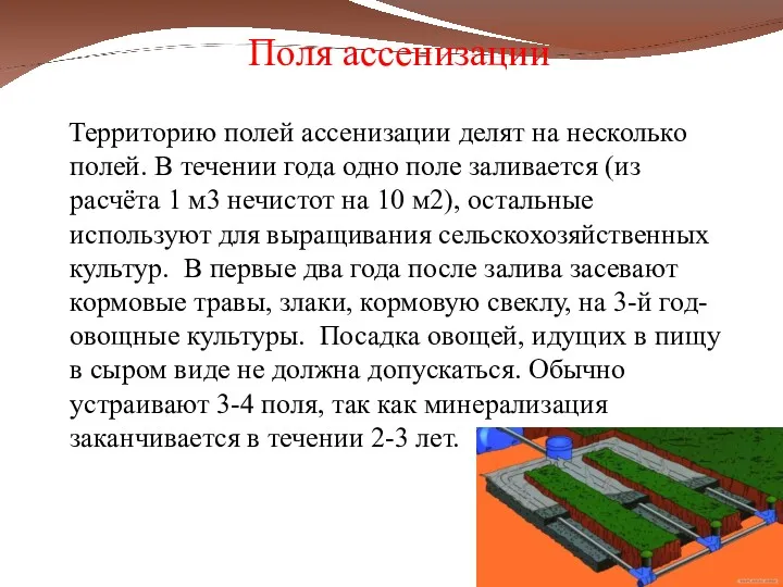 Поля ассенизации Территорию полей ассенизации делят на несколько полей. В