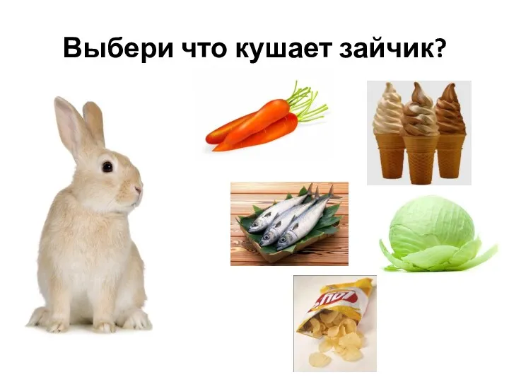 Выбери что кушает зайчик?