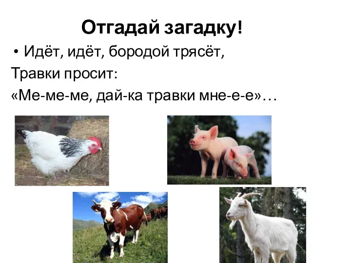 Отгадай загадку! Идёт, идёт, бородой трясёт, Травки просит: «Ме-ме-ме, дай-ка травки мне-е-е»…