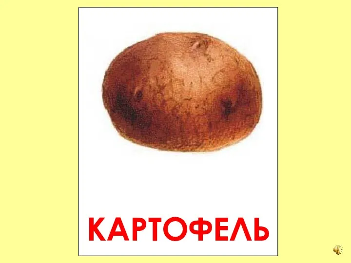 КАРТОФЕЛЬ