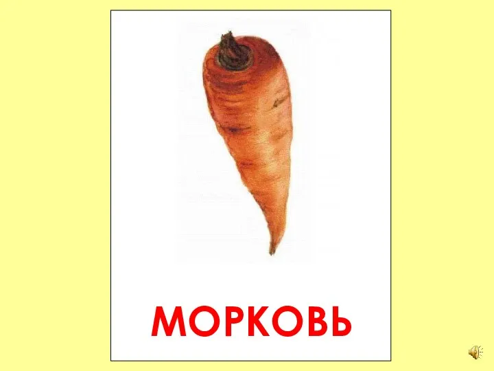 МОРКОВЬ