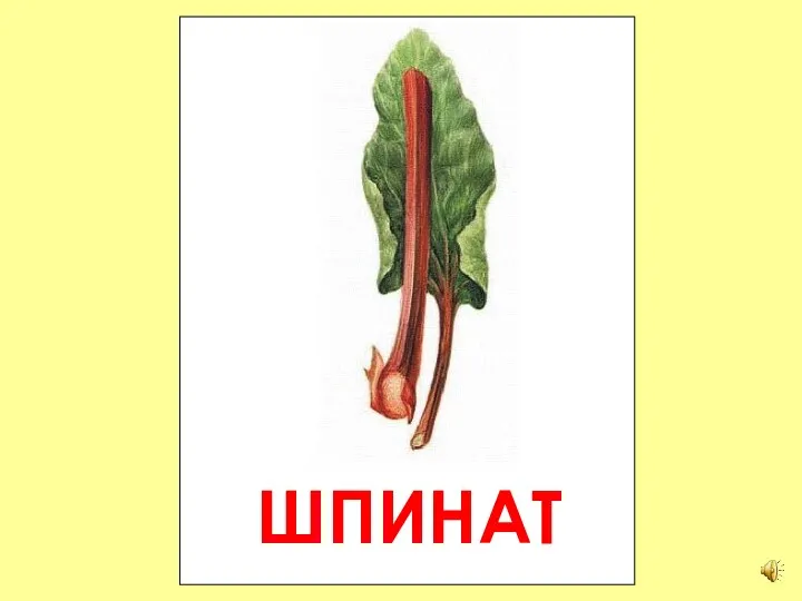 ШПИНАТ