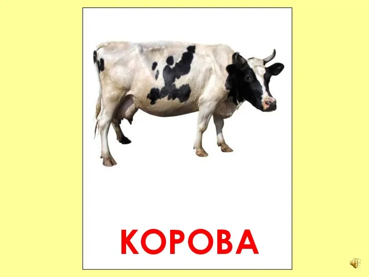 КОРОВА