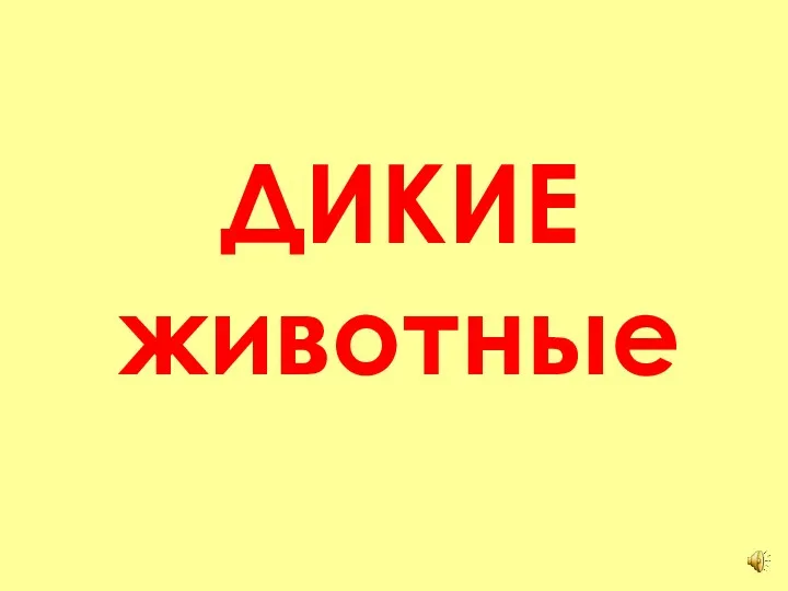 ДИКИЕ животные