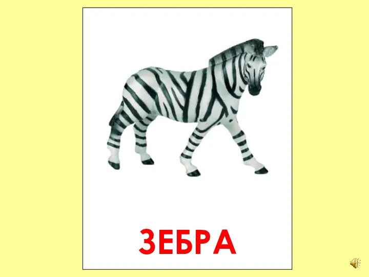 ЗЕБРА