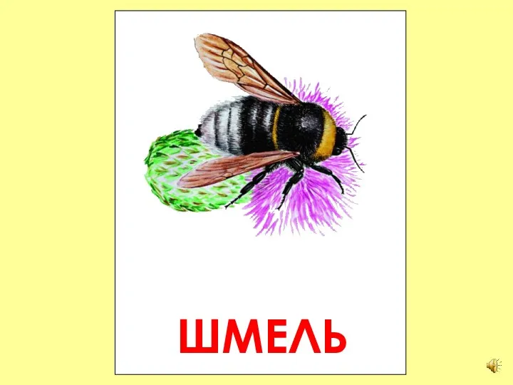 ШМЕЛЬ