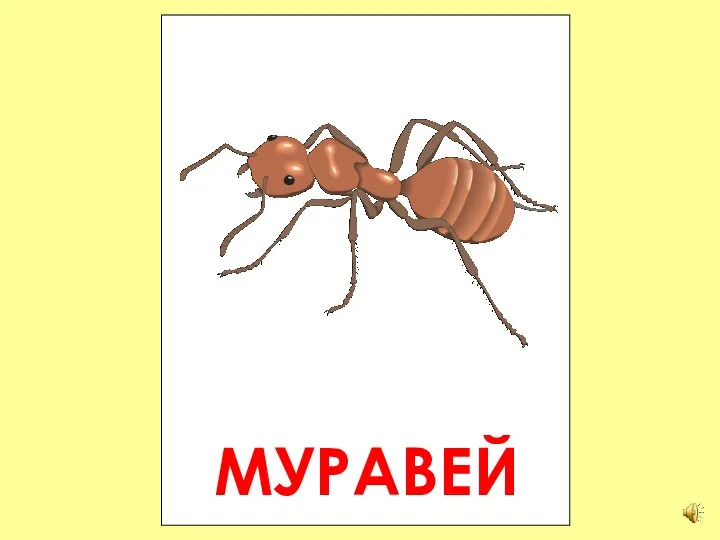 МУРАВЕЙ