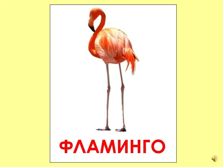 ФЛАМИНГО