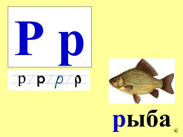 Р р рыба