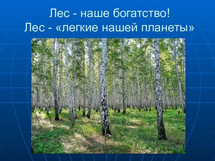 Лес - наше богатство! Лес - «легкие нашей планеты»