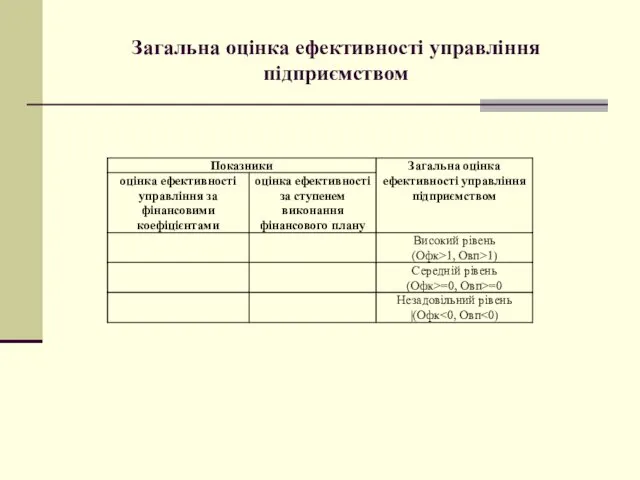 Загальна оцінка ефективності управління підприємством