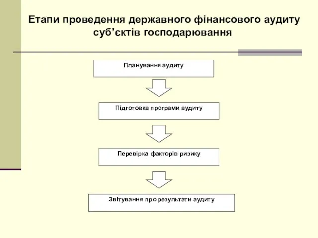 Етапи проведення державного фінансового аудиту суб’єктів господарювання