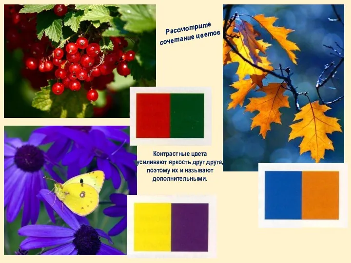 Рассмотрите сочетание цветов Контрастные цвета усиливают яркость друг друга, поэтому их и называют дополнительными.