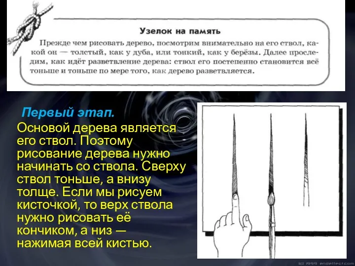 Первый этап. Основой дерева является его ствол. Поэтому рисование дерева нужно начинать со