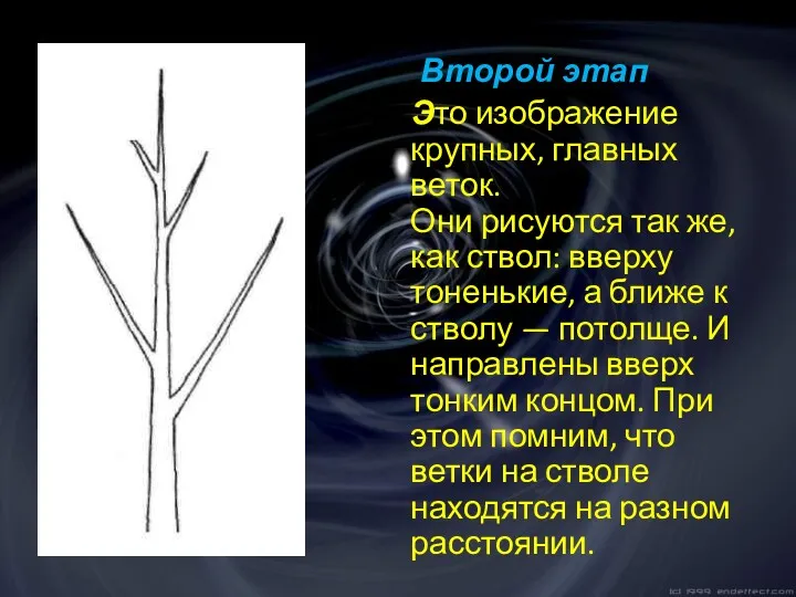 Второй этап Это изображение крупных, главных веток. Они рисуются так же, как ствол: