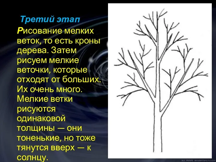 Третий этап Рисование мелких веток, то есть кроны дерева. Затем рисуем мелкие веточки,