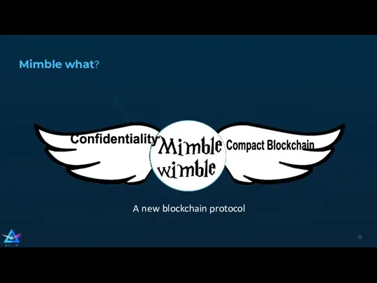 Mimble what? A new blockchain protocol Confidentiality Compact Blockchain