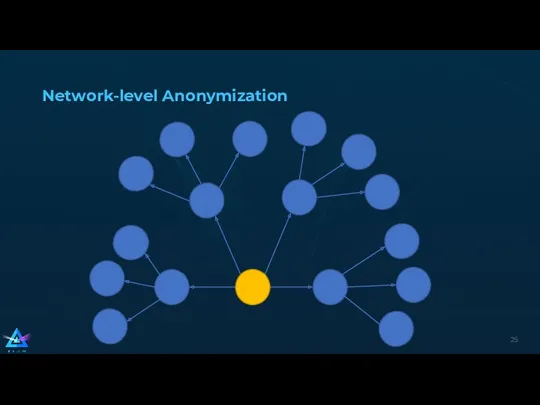 Network-level Anonymization