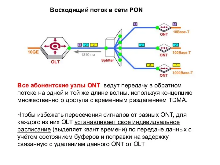 Восходящий поток в сети PON Все абонентские узлы ONT ведут