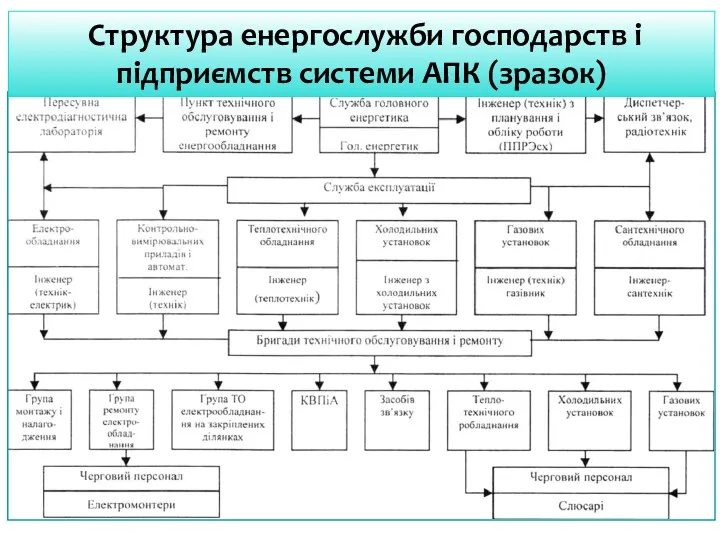 Структура енергослужби господарств і підприємств системи АПК (зразок)