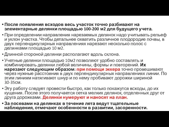 После появления всходов весь участок точно разбивают на элементарные делянки