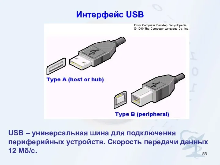Интерфейс USB USB – универсальная шина для подключения периферийных устройств. Скорость передачи данных 12 Мб/с.