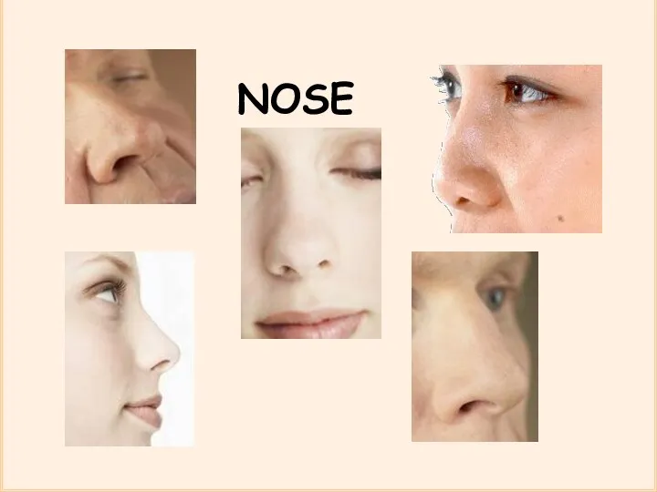 NOSE