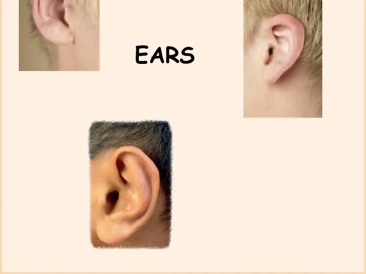 EARS