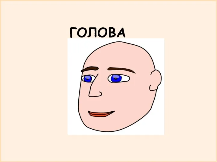 ГОЛОВА