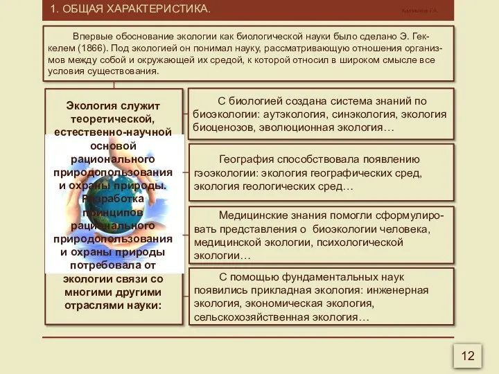 1. ОБЩАЯ ХАРАКТЕРИСТИКА. Калмыков Г.А. 12 Впервые обоснование экологии как