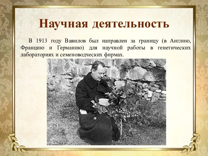 Научная деятельность В 1913 году Вавилов был направлен за границу (в Англию, Францию