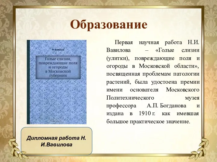 Образование Первая научная работа Н.И.Вавилова – «Голые слизни (улитки), повреждающие поля и огороды