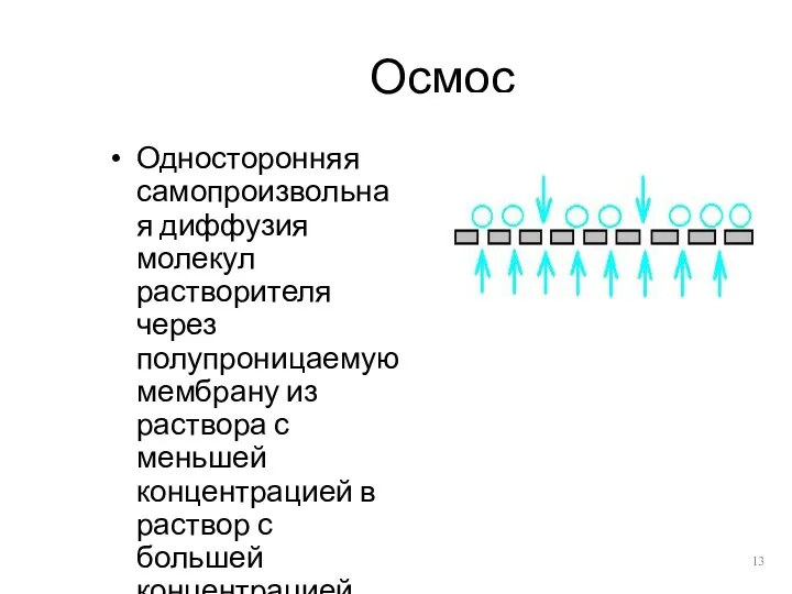 Осмос Односторонняя самопроизвольная диффузия молекул растворителя через полупроницаемую мембрану из