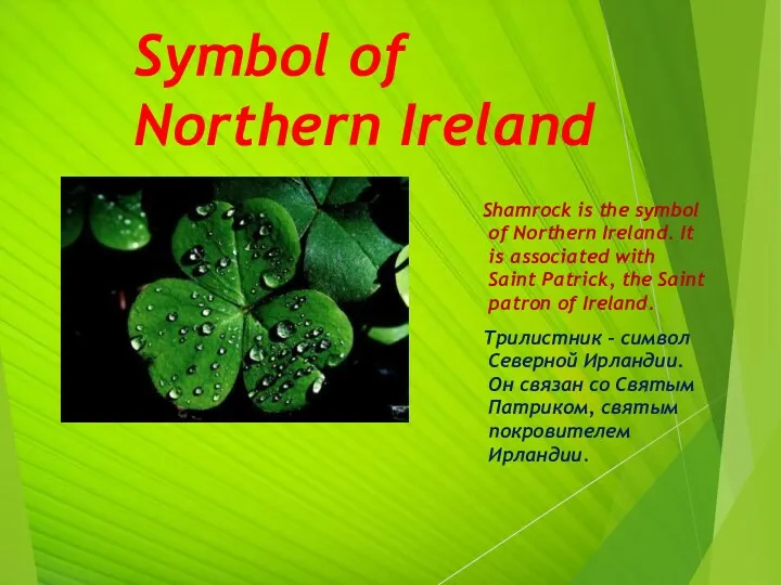Symbol of Northern Ireland Shamrock is the symbol of Northern