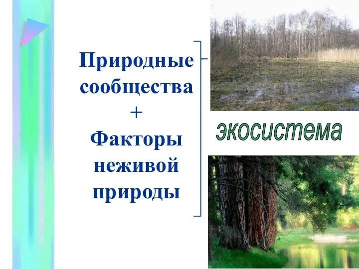 Природные сообщества + Факторы неживой природы экосистема
