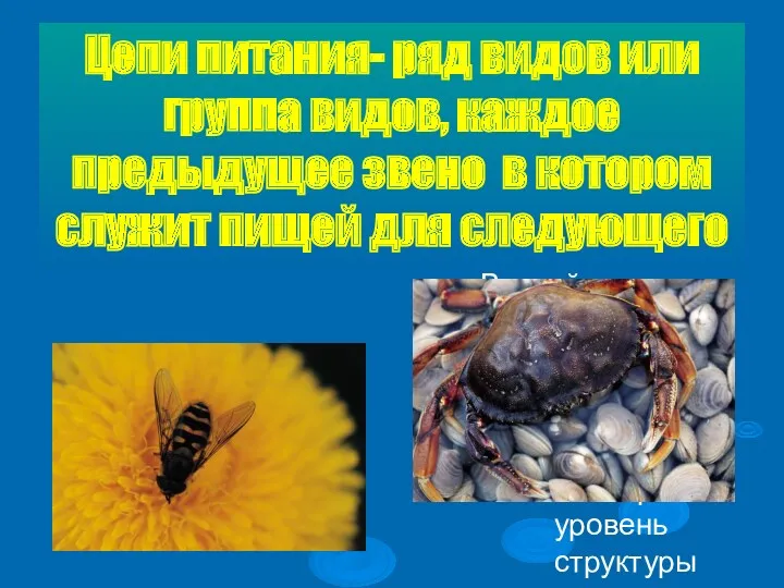 Цепи питания- ряд видов или группа видов, каждое предыдущее звено в котором служит пищей для следующего