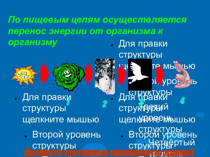 Назовите составные компоненты данной цепи питания ? По пищевым цепям