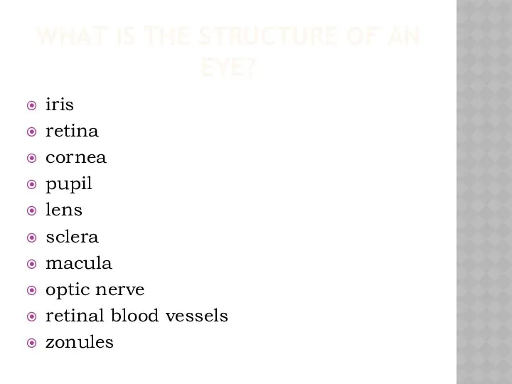 WHAT IS THE STRUCTURE OF AN EYE? iris retina cornea