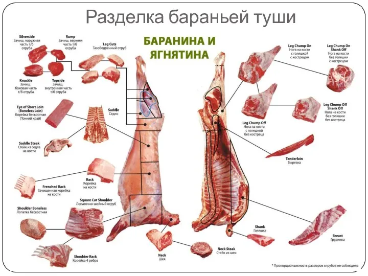 Разделка бараньей туши